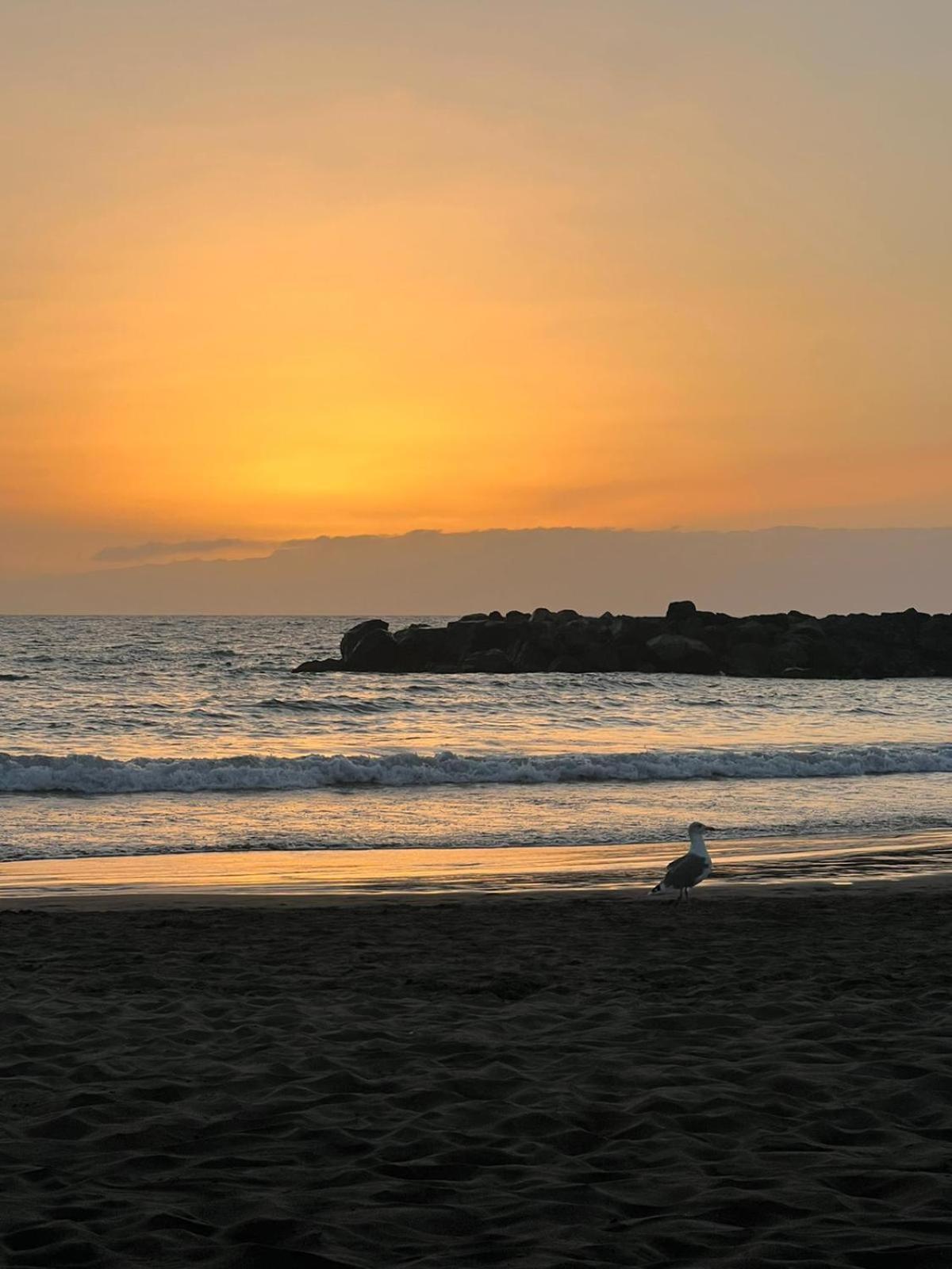 Apartamento En Primera Linea De Playa, Centrico, Tranquilo Playa de las Américas Kültér fotó